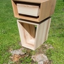 Posée sur la souche qui l'a vue naître