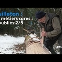 Métier rare et oublié : sanglier