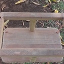 Balançoire pour bébé sous un manguier