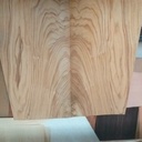 frene d olivier ( papillon)