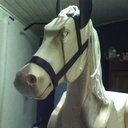Cheval de bois