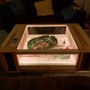 Table basse pour collection Astérix