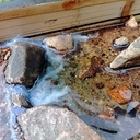 Test fausse/vrai rivière (besoin d'avis/conseils)