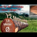 Petit travail de sciage d'une bille d'acajou