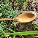 Cuillère en tilleul