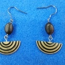 graine du fruit pomme-cannelle