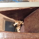 Un coin tout neuf avec mon trigramme !