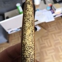 Opinel en buis avec dragonne