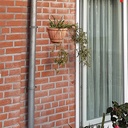 Dans son élément naturel.