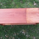 Un banc pour le p'tit cereus