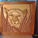 Lion intarsia