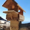 Mangeoire oiseaux en pin