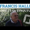 L'arbre et sa structure