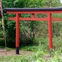 Torii traditionnel