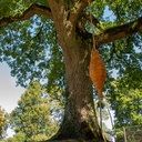 Hommage à la nature