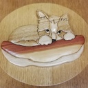 Le chat dans son couffin