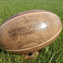 Le ballon est dans le pré.