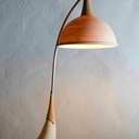 Podcast. Matériau bois.