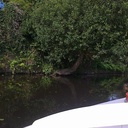 Pour faire un limon d'escalier