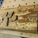 un morceau de platane