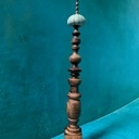 Oursin qui prend de la hauteur