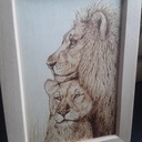 Le lion et la lionne