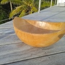 Umete en Guettarda speciosa