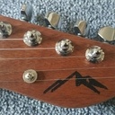 Guitare électrique Telecaster Thinline