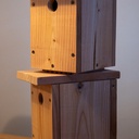 Appartements de location