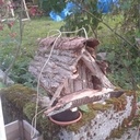 Nichoir à oiseaux amélioré