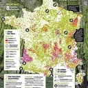 Carte essences bois France 2024