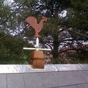 Mangeoire à oiseaux pour mes parents