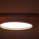 Plafonnier (ou l'utilisation de la fraise à congé pendant le confinement)