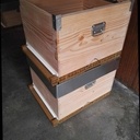 Ruche dadant 10 cadres