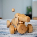 Un teckel à roulettes