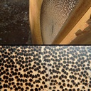 Commodes jumelles et insert coco noir