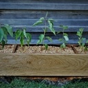 Jardinière de rempotage ni clou ni vis ni colle.