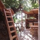 Un transat 2 places dans le murier...