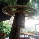 Des roues autour des arbres