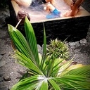 Trois points d'eau pour 3 appartement