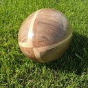 Le ballon est dans le pré.