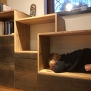 De l'orme et du chêne des marais....