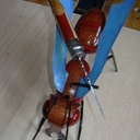 La fourmi Porteuse .....