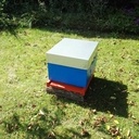 Ruche dadant 10 cadres peinture spécifique