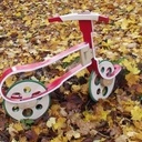 Draisienne d'automne