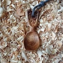 21éme cuillère de 2023 : Cuillère en érable cuite au four