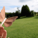 Fabriquer un papillon en bois