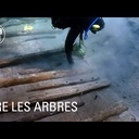 Fabien étudie l'âge du bois et des villages lacustres engloutis par les eaux.