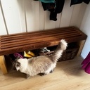 Banc à chaussures type scandinave