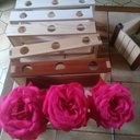 Soliflore en série.